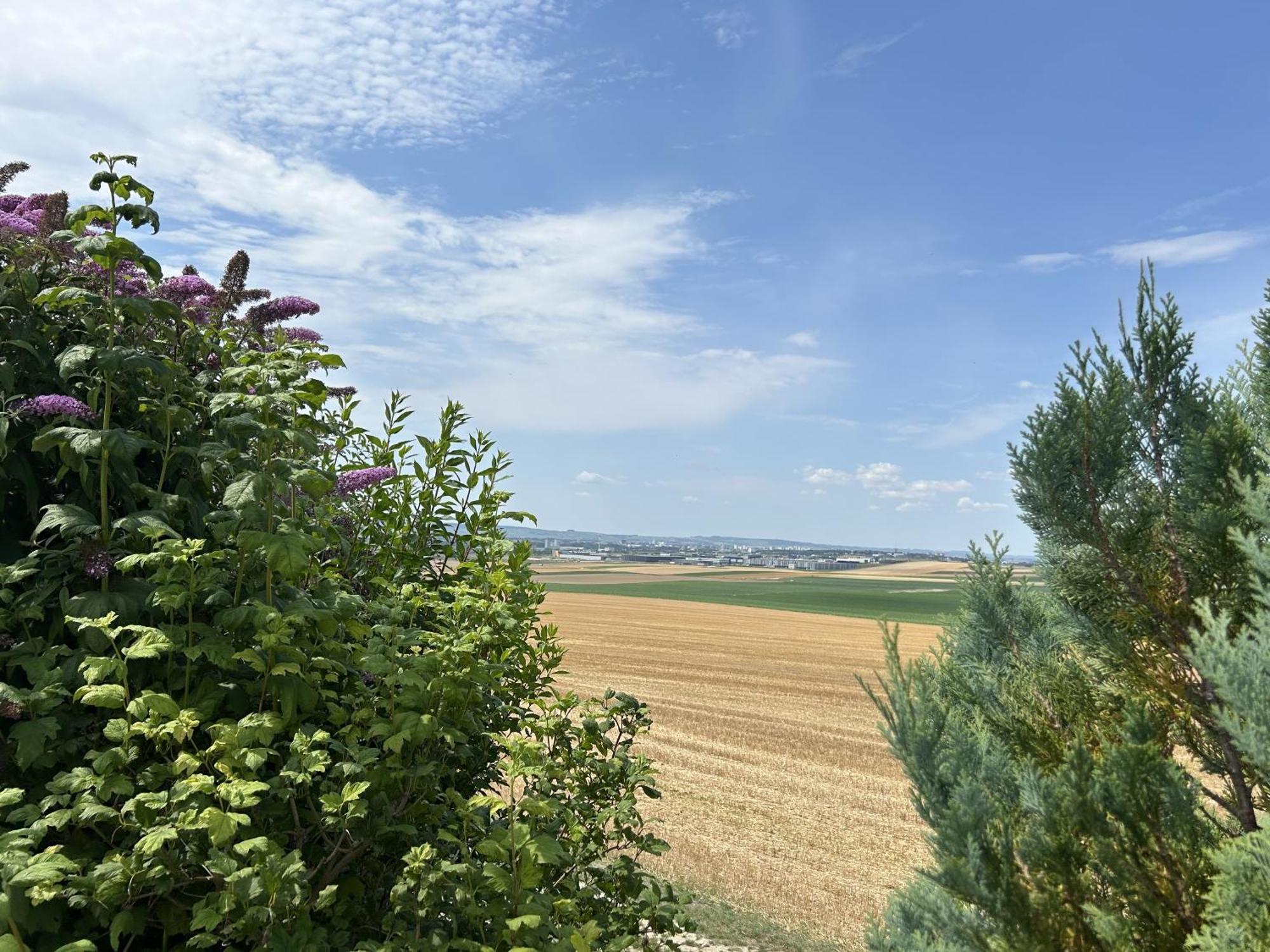 Le Charme Villa Cernay-les-Reims Buitenkant foto